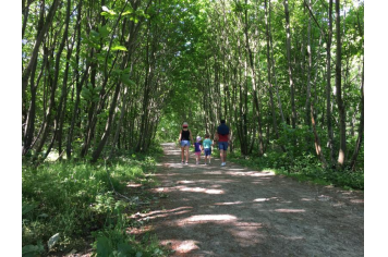 Bois de la Folie © OTPP